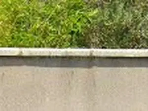 Brachet Batiments