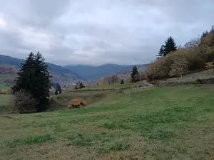La Roche - Les PEP Alsace