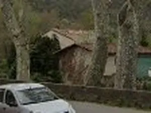 Miquel Daniel