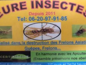 Eure Insectes destruction frelons guêpes