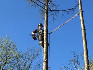 Acrocim