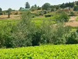 Déchetterie d'Alba-la-Romaine