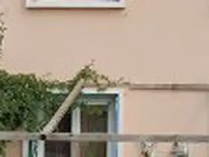 Videtnet