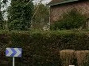 Baer espace vert