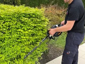 DK SERVICES