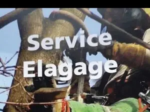 Service elagage élagueur paysagiste seine-et-Marne hericy thomery moret intervention avec nacelle