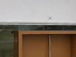 Débarras de maison, rachat antiquités et revalorisations