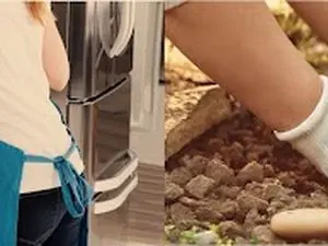 Maison et Services Sommières | Ménage, repassage, jardinage, nettoyage des vitres