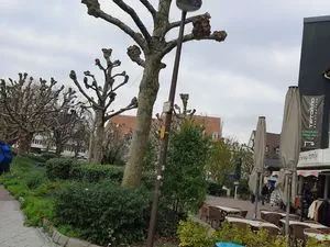 Emmaüs