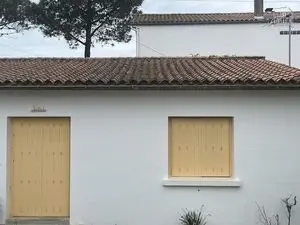 RenovEvolution
