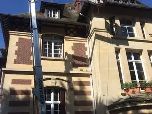 Pro Guepes - Destruction nid de guêpes et frelons Oise 60