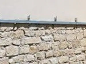 Desbrosses Bastien