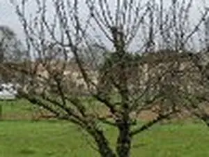 Limbergere : Recyclage | Vide Maison | Débarras & Démolition
